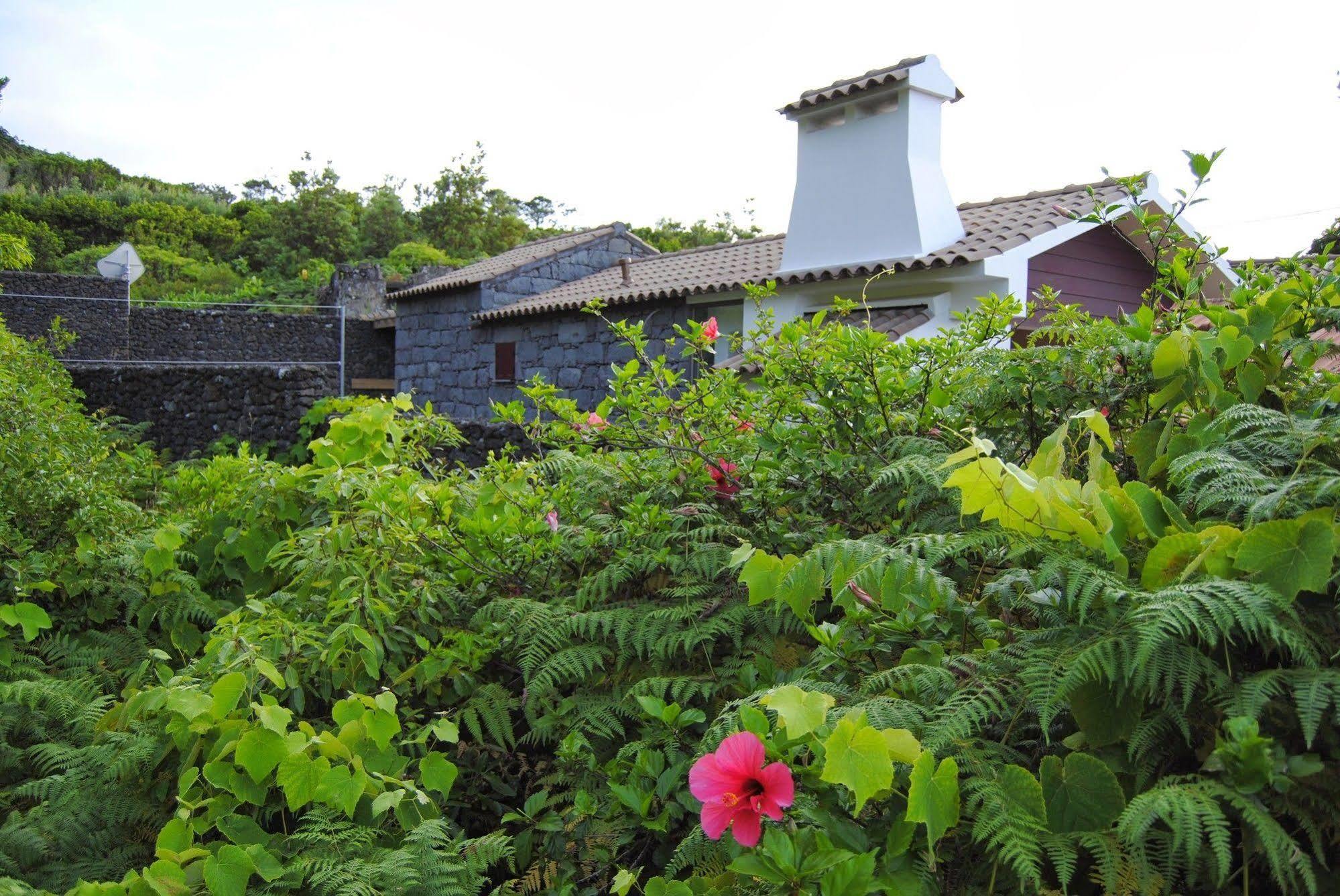 Casas Da Faja Villa Praia do Norte Exterior photo